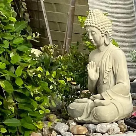 Zen Attitude Nocleg ze śniadaniem *